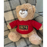 2874 Plush Teddy Bear (Choice of 3 T-Shirt Designs)
