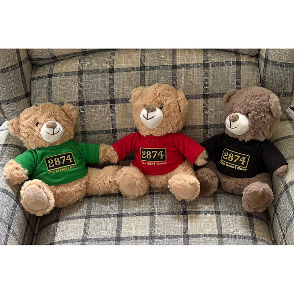 2874 Plush Teddy Bear (Choice of 3 T-Shirt Designs)